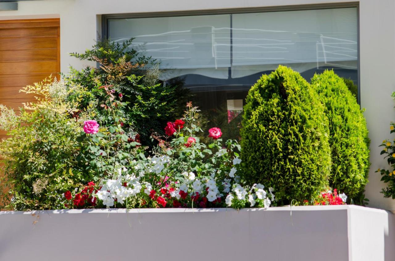 Villa Serenity Porto Rafti Exterior photo