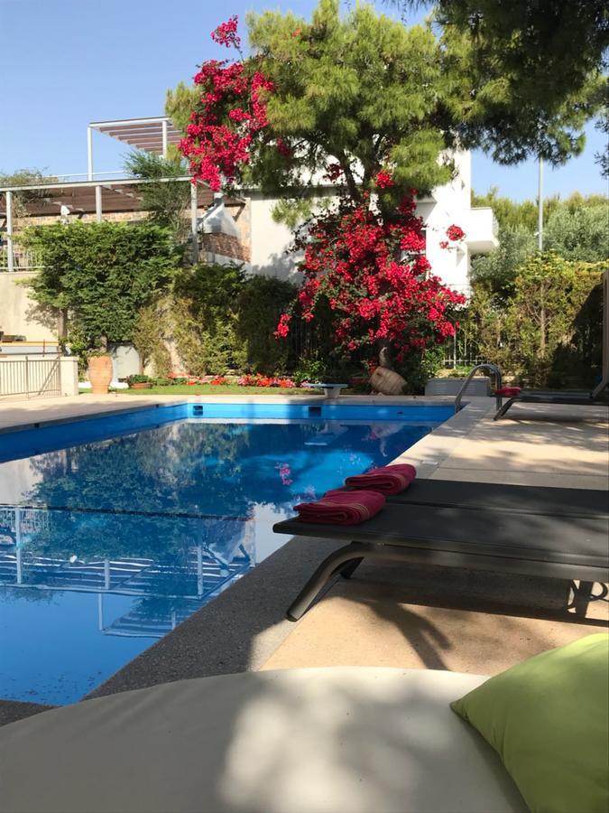 Villa Serenity Porto Rafti Exterior photo